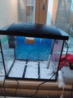 Aquarium 60 liter, Ophalen, Leeg aquarium