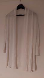 Witte Cardigan - Maat M, Ophalen of Verzenden, Zo goed als nieuw, Maat 38/40 (M), Wit