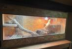 Osb3 terrarium 130/50/80 met Baardagaam, Dieren en Toebehoren, Ophalen, Zo goed als nieuw, Terrarium of Paludarium
