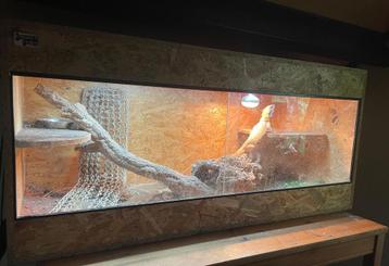Osb3 terrarium 130/50/80 met Baardagaam beschikbaar voor biedingen