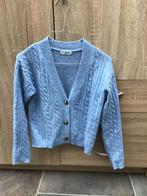 Vestje(primark), Kinderen en Baby's, Kinderkleding | Maat 146, Ophalen of Verzenden, Gebruikt, Meisje, Trui of Vest