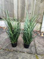 2 kunst gras, Ophalen, In pot, Halfschaduw, Minder dan 100 cm