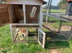 Konijn met hok, Dieren en Toebehoren, Konijnen, Mannelijk