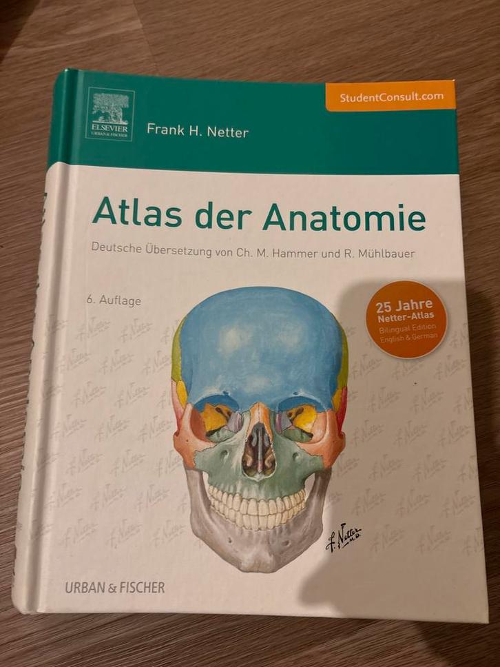 Atlas der Anatomie - Frank H. Netter, Boeken, Studieboeken en Cursussen, Zo goed als nieuw, HBO, Beta, Ophalen of Verzenden