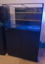 Aquarent/ zeeaquarium/ Red Sea Reefer 300 XL, Dieren en Toebehoren, Ophalen, Zo goed als nieuw, Leeg aquarium