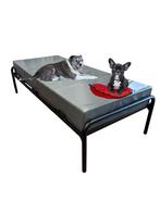 Bevallingsmatras honden, Ophalen, Nieuw