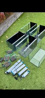 6x aquarium kweekbakken, Dieren en Toebehoren, Ophalen of Verzenden, Zo goed als nieuw, Leeg aquarium