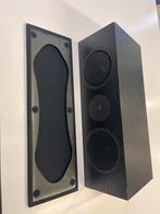 Linn Trikan Speakers - Topkwaliteit!, Ophalen of Verzenden, Gebruikt, Front, Rear of Stereo speakers, Overige merken