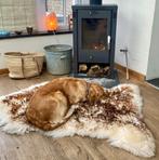 Mouflon schapenvacht hond honden puppy hondenmand vacht, Ophalen of Verzenden, Nieuw