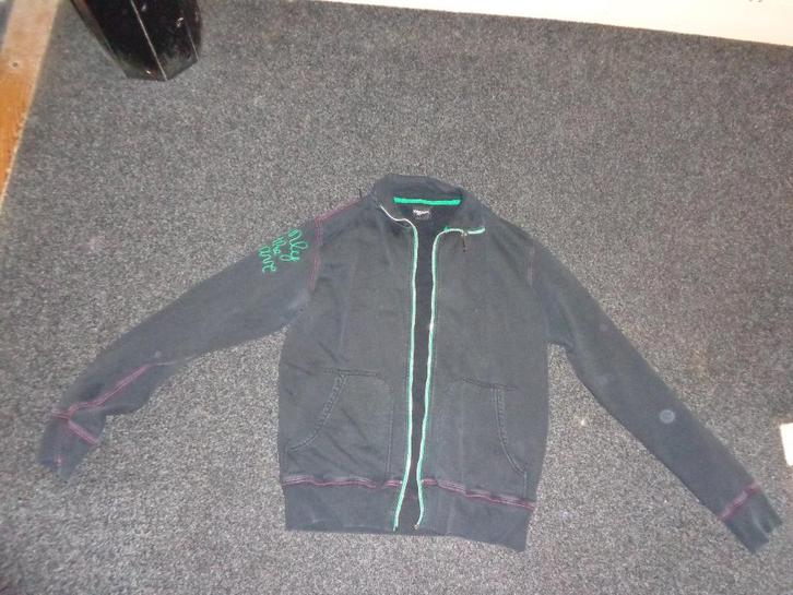 div damesvesten/truien, maat L, Diesel, Reinders, Tommy Hilf, Kleding | Dames, Truien en Vesten, Gedragen, Maat 42/44 (L), Overige kleuren