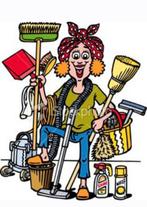 Gevraagd huishoudelijke hulp, Overige niveaus, Starter, Overige vormen