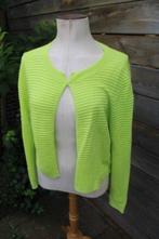 Vest lime Caroline Biss mt 40 Vaste prijs, Kleding | Dames, Truien en Vesten, Maat 38/40 (M), Ophalen of Verzenden, Zo goed als nieuw