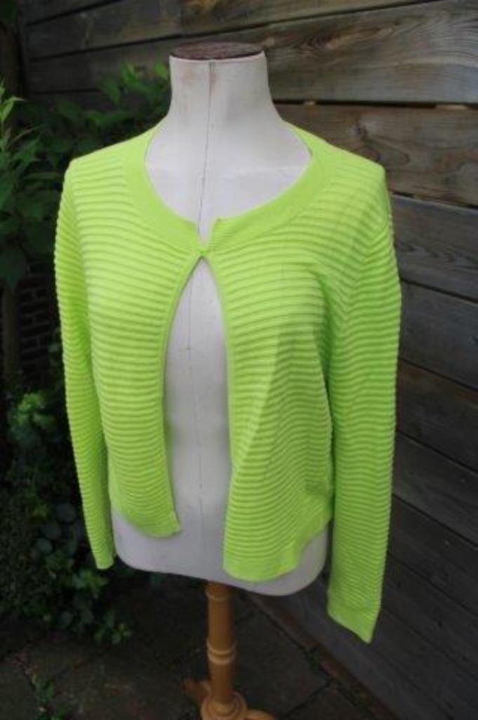 Vest lime Caroline Biss mt 40 Vaste prijs, Kleding | Dames, Truien en Vesten, Zo goed als nieuw, Maat 38/40 (M), Groen, Ophalen of Verzenden