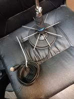 Kleefvoet antine, Ophalen of Verzenden