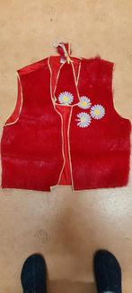 Carnavals kleding, Ophalen of Verzenden, Zo goed als nieuw, Carnaval