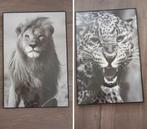 2 ingelijste posters, Huis en Inrichting, Ophalen, Zo goed als nieuw, Schilderij, 50 tot 75 cm
