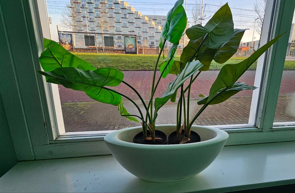 Elho Oval Plantenpot - Zo Goed Als Nieuw!, Huis en Inrichting, Kamerplanten, Ophalen of Verzenden, Halfschaduw, Minder dan 100 cm