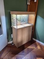 Juwel Aquarium 125L incl meubel en toebehoren, Ophalen, Zo goed als nieuw, Leeg aquarium