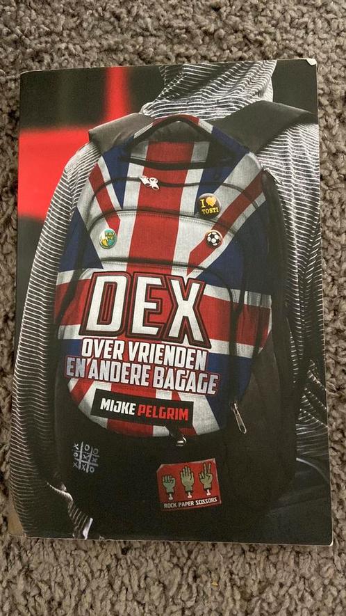 Mijke Pelgrim - Dex, Boeken, Kinderboeken | Jeugd | 13 jaar en ouder, Zo goed als nieuw, Ophalen of Verzenden