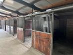 1 voorwand, Dieren en Toebehoren, Stalling en Weidegang, Stalling, 2 of 3 paarden of pony's
