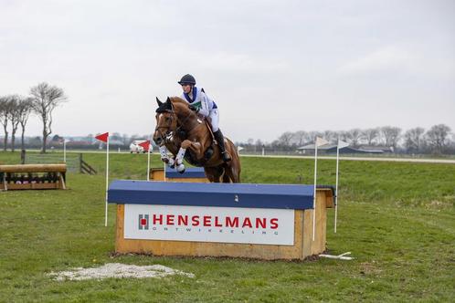 Training aangeboden, Dieren en Toebehoren, Paarden en Pony's | Overige Paardenspullen, Nieuw, Springen, Ophalen of Verzenden