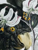 Prent Papagaai Kakatoe, Antiek en Kunst, Ophalen of Verzenden