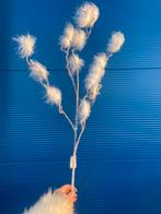 Nova Nature kunst takken donsveer, Ophalen of Verzenden, Nieuw
