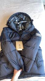 Burberry jas, Maat 52/54 (L), Echt, Zwart, Nieuw