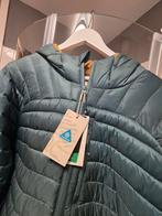 Springfield Outdoor Jas - Nieuwstaat, Kleding | Heren, Ophalen of Verzenden, Nieuw, Groen