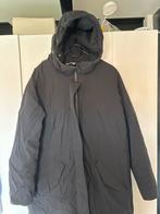 Elvine Winterjas / parka Dames Zwart XL, Zwart, Elvine, Maat 46/48 (XL) of groter, Ophalen of Verzenden