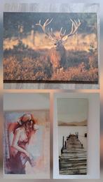 3 schilderijen / foto op canvas / glas, Ophalen, Gebruikt, Foto of Poster, 75 cm of meer