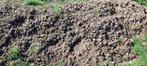 Gratis paardenmest Broekhuizen, Ophalen, Gebruikt