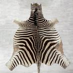 Zebrahuid zebravel Afrika 260x190cm, Gebruikt, 200 cm of meer, Ophalen of Verzenden, Overige vormen