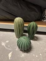 Stenen cactus beeldjes van Ikea, Ophalen of Verzenden, Zo goed als nieuw