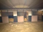 3 stal deuren te koop, Dieren en Toebehoren, Stalling en Weidegang, 2 of 3 paarden of pony's