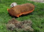 Zakjes hooi, Dieren en Toebehoren, Knaagdieren, April, Mannelijk, Overige typen