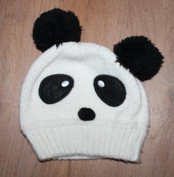 Pandamuts circa 3-5 jaar beschikbaar voor biedingen