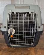 Reismand kleine hond, Ophalen, Gebruikt, Overige