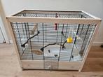 Vogelkooi Ferplast Giuiletta 4, Dieren en Toebehoren, Vogels | Hokken en Kooien, Ophalen, Gebruikt, Vogelkooi