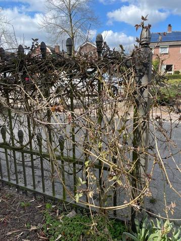 GEZOCHT Sierhekwerk ca 300cm breed en ca 107cm hoog beschikbaar voor biedingen