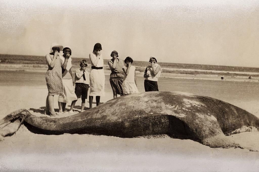 Terschelling, Ophalen of Verzenden, 1920 tot 1940, Ongelopen, Waddeneilanden