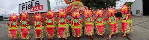 Loopgroep carnaval, Kleding | Dames, Carnavalskleding en Feestkleding, Zo goed als nieuw, Kleding, Carnaval, Ophalen