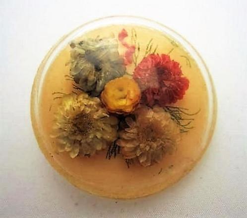 Antieke broche droogbloemen onder celluloid koepeltje (7488-, Sieraden, Tassen en Uiterlijk, Antieke sieraden, Broche, Overige materialen