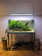ADA Aquarium set 90P, Dieren en Toebehoren, Vissen | Aquaria en Toebehoren, Ophalen, Zo goed als nieuw