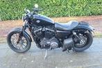 Harley-Davidson XL 883, Chopper, Bedrijf, 883 cc, 12 t/m 35 kW