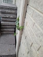 Grindtegels, Ophalen, Zo goed als nieuw, 10 m² of meer, Beton