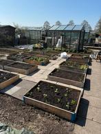 Tuinkas 3x3 van staal met veiligheidsglas, Tuin en Terras, Kassen, Gebruikt, Kweekkas, Glas, Ophalen