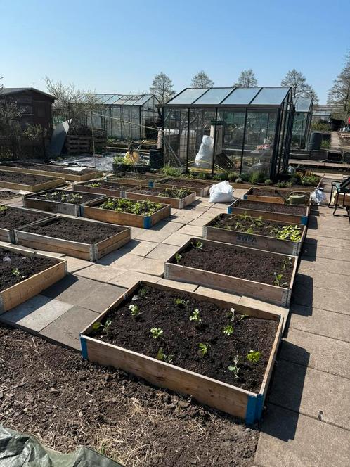 Tuinkas 3x3 van staal met veiligheidsglas, Tuin en Terras, Kassen, Gebruikt, Kweekkas, Staal, Glas, Ophalen