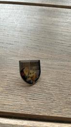 Efteling pin personeels vereniging, Ophalen of Verzenden, Zo goed als nieuw, Button of Speldje