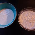 Gratis melkkefir korrels, Diversen, Levensmiddelen, Ophalen